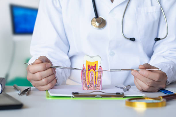 Best Emergency Dental Care for Trauma or Injury in Bonne Terre, MO